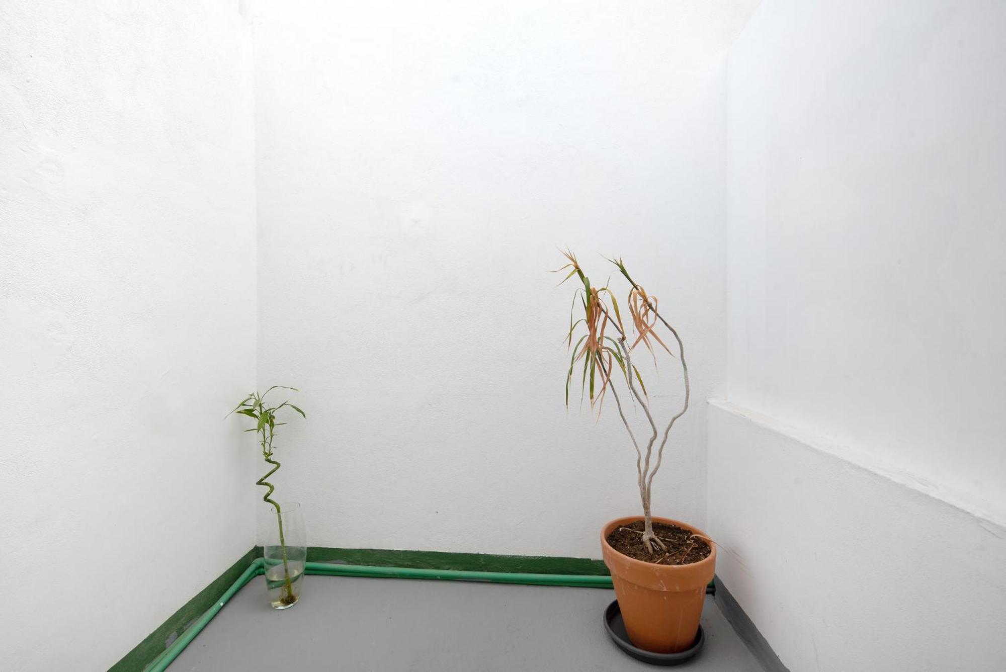 Apartamento Vista La Orotava Bagian luar foto